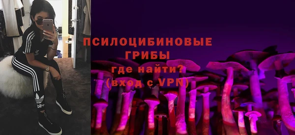 ALPHA-PVP Богородицк