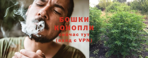 экстази Богданович