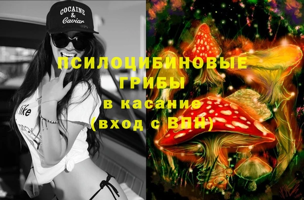 экстази Богданович