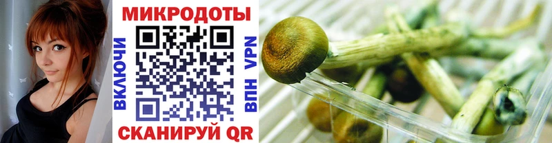 Псилоцибиновые грибы Psilocybe Юрюзань